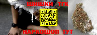 крисы Кунгур