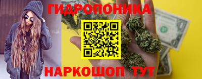 крисы Кунгур