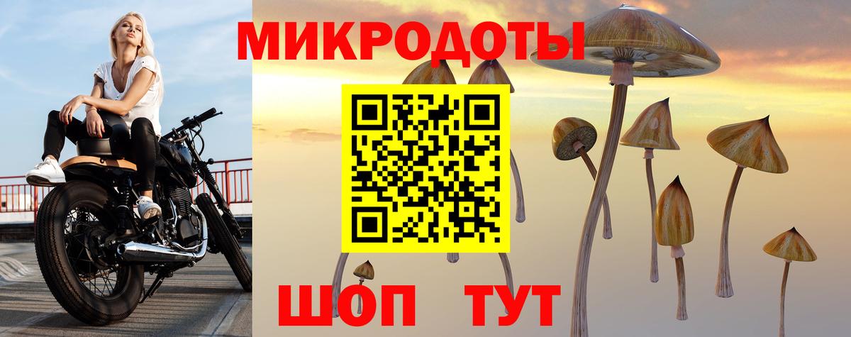 Галлюциногенные грибы GOLDEN TEACHER Ярославль