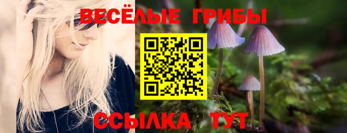 купить закладку  Вход с VPN  Галлюциногенные грибы Psilocybine cubensis  Ярославль  Галлюциногенные грибы мухоморы 